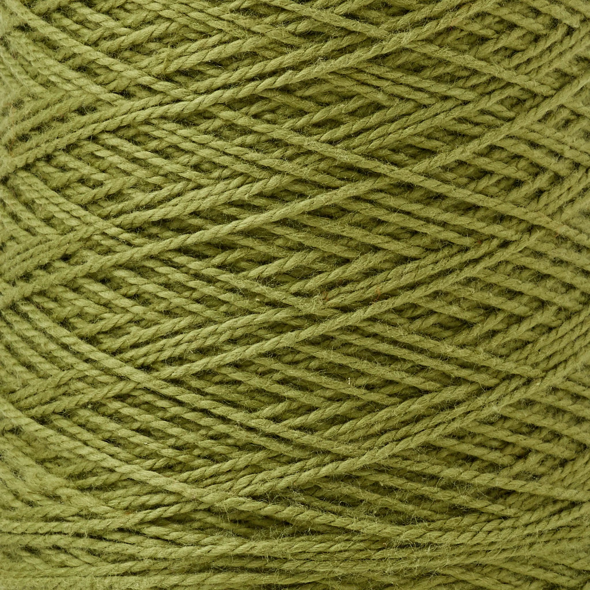 Beam 3/2 Organic Cotton Weaving Yarn ~ Avocado - Image 2