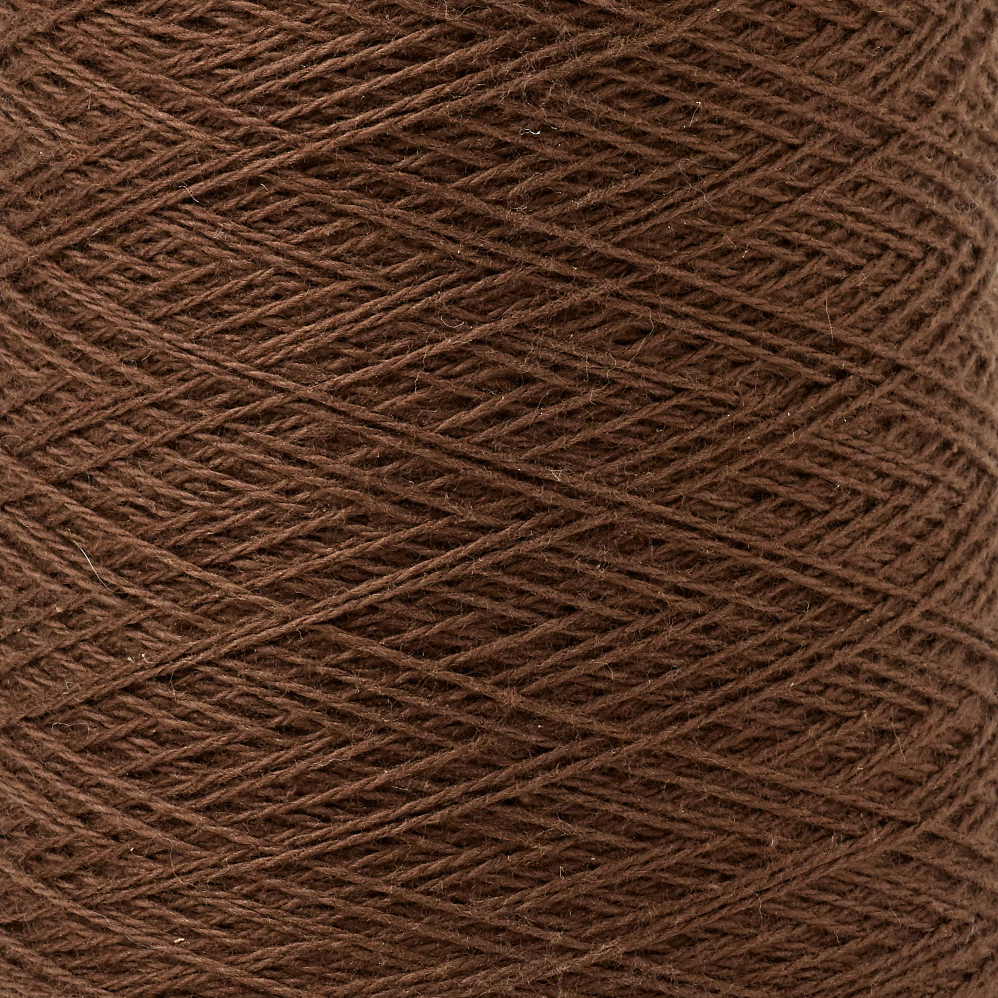 Beam 8/2 Organic Cotton Weaving Yarn ~ Acorn - Image 2