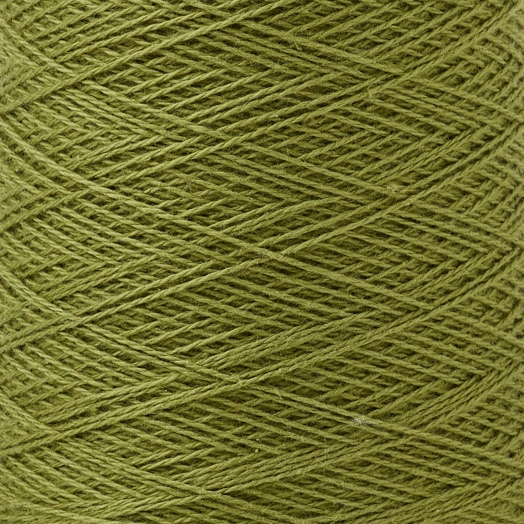 Beam 8/2 Organic Cotton Weaving Yarn ~ Avocado - Image 2