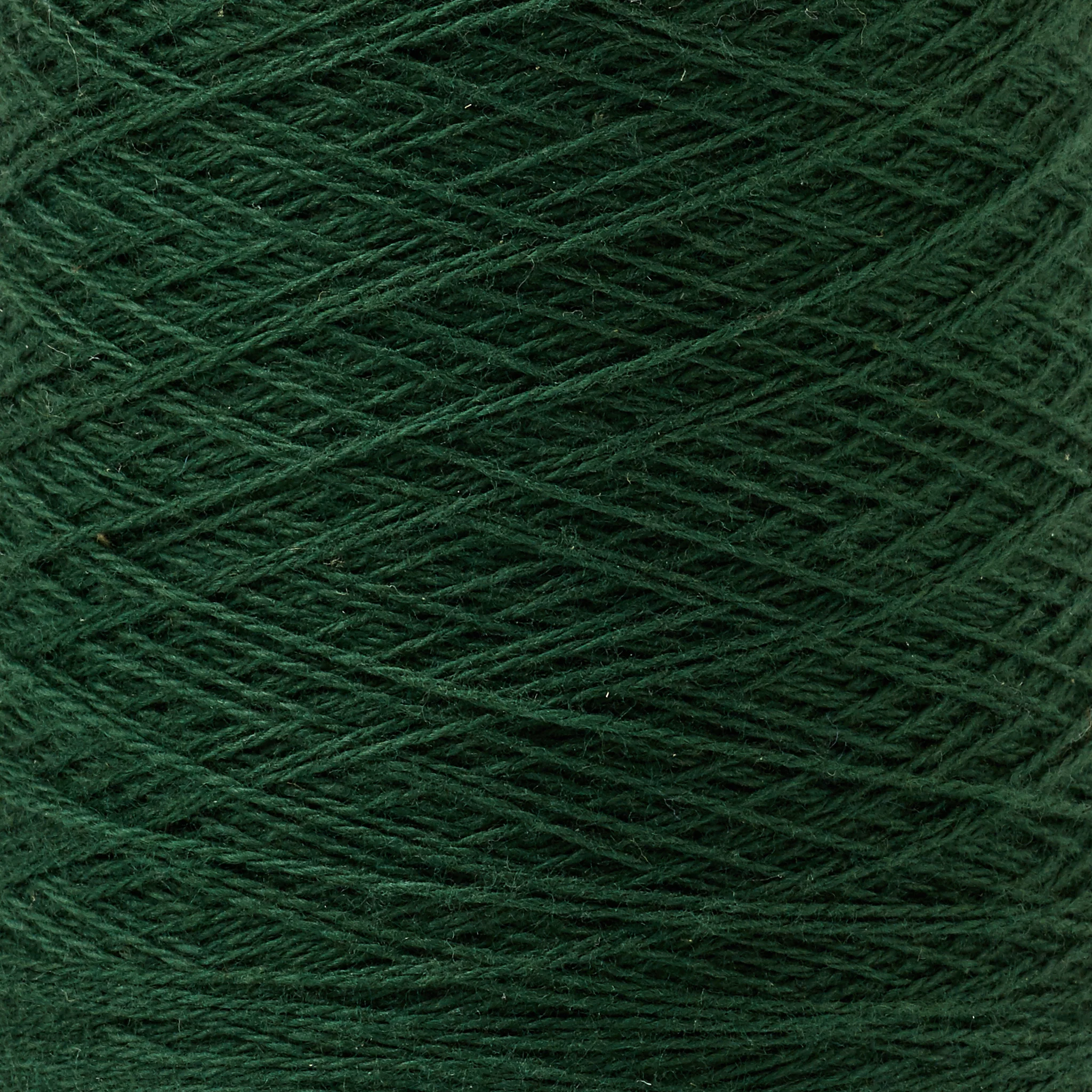 Beam 8/2 Organic Cotton Weaving Yarn ~ Evergreen - Image 2