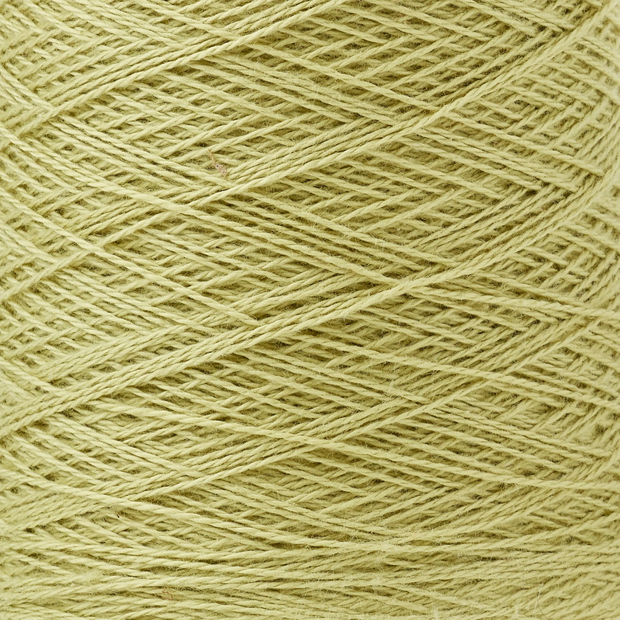 Beam 8/2 Organic Cotton Weaving Yarn ~ Sage - Image 2
